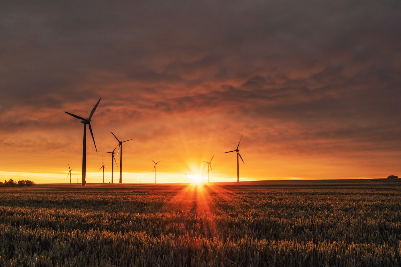 Energy & Ecology